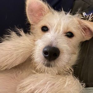 Meet your Posher, Cheryl